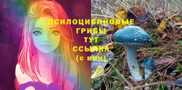 альфа пвп Козловка