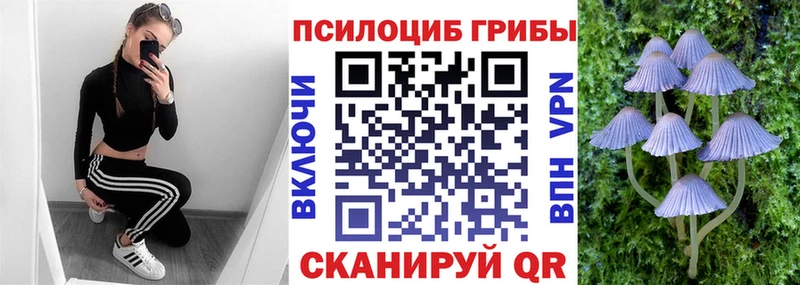 Купить где  Наволоки  Галлюциногенные грибы Magic Shrooms 